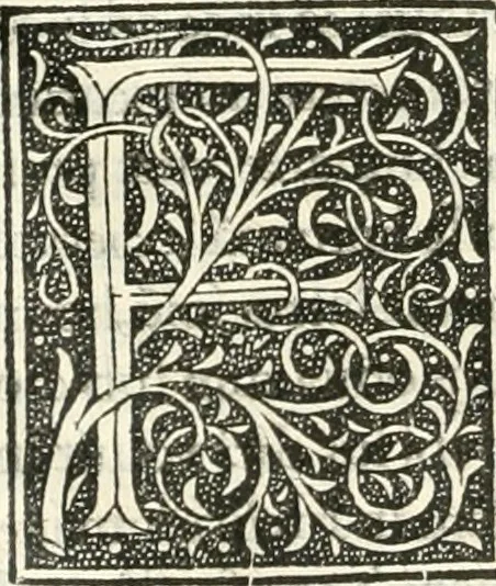 An illustration from Scotorum historiae a prima gentis origine : cum aliarum & rerum & gentium illustratione non vulgari : praemissa epistola nu[m]cupatoria, tabellisq[ue] amplissmis & non poenitenda isagoge quae ab huius terho explicabuntur diffusius, 1526, leaf 157