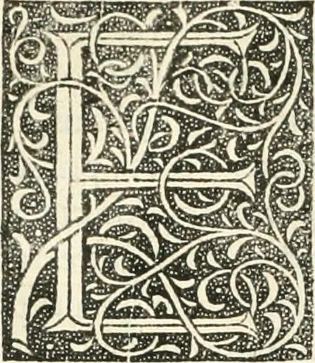 An illustration from Scotorum historiae a prima gentis origine : cum aliarum & rerum & gentium illustratione non vulgari : praemissa epistola nu[m]cupatoria, tabellisq[ue] amplissmis & non poenitenda isagoge quae ab huius terho explicabuntur diffusius, 1526, leaf 193