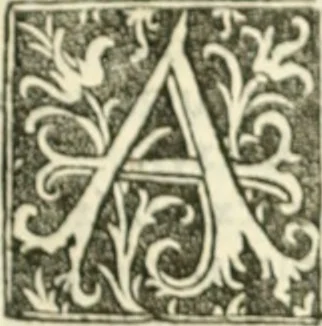 An illustration from Scotorum historiae a prima gentis origine : cum aliarum & rerum & gentium illustratione non vulgari : praemissa epistola nu[m]cupatoria, tabellisq[ue] amplissmis & non poenitenda isagoge quae ab huius terho explicabuntur diffusius, 1526, leaf 38
