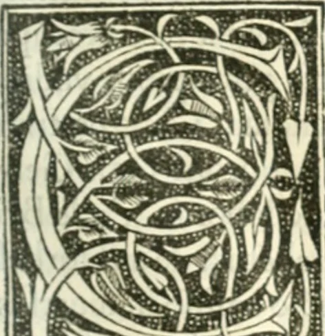 An illustration from Scotorum historiae a prima gentis origine : cum aliarum & rerum & gentium illustratione non vulgari : praemissa epistola nu[m]cupatoria, tabellisq[ue] amplissmis & non poenitenda isagoge quae ab huius terho explicabuntur diffusius, 1526, leaf 446