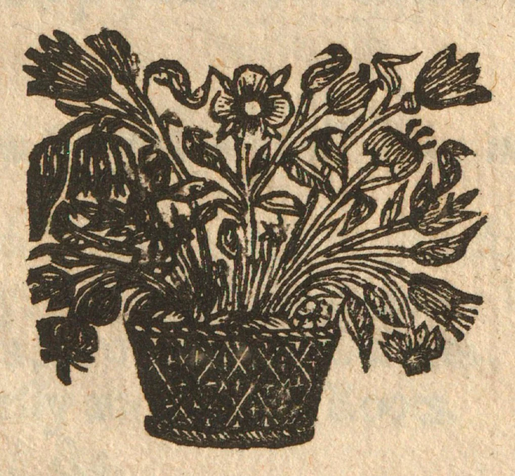 An illustration from The Scots gard'ner : in two parts ... : appendix shewing how to use the fruits of the garden : whereunto is annexed The gard'ners kalendar, 1683, leaf 151