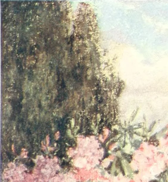 An illustration from Scottish gardens; being a representative selection of different types, old and new, 1908, leaf 102