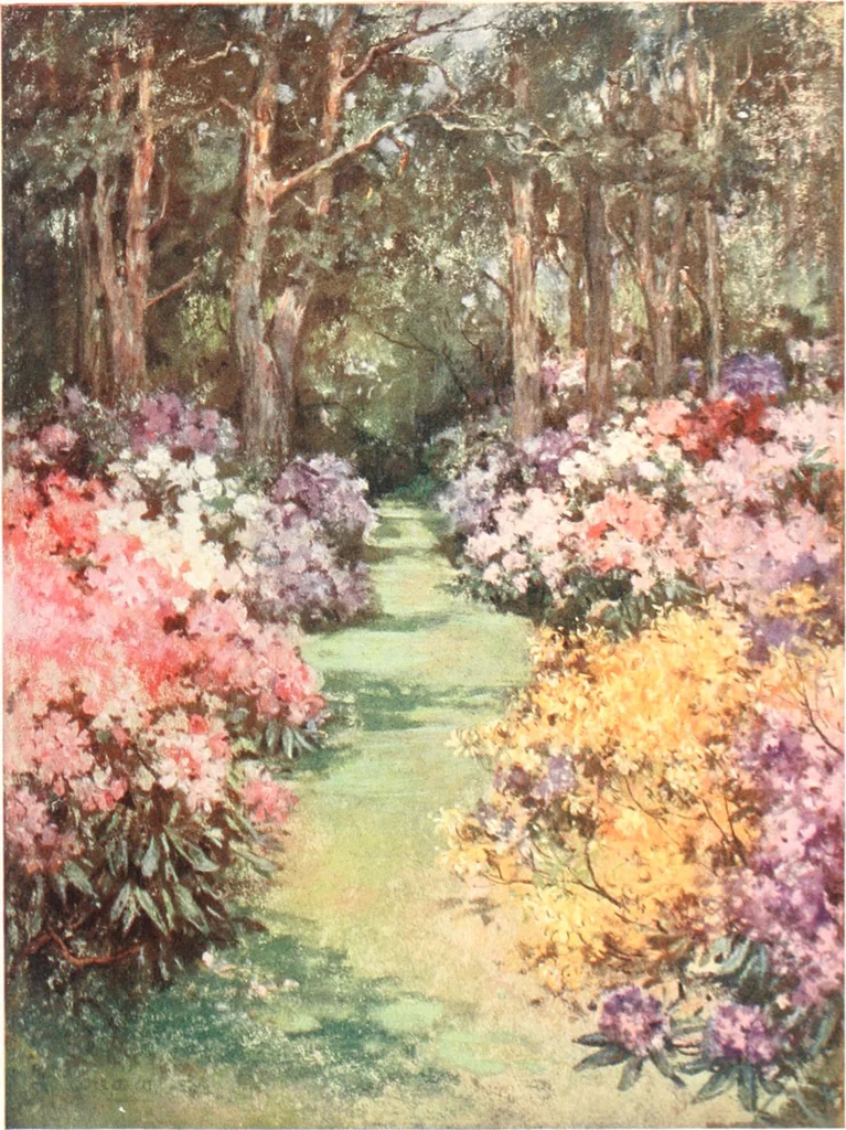An illustration from Scottish gardens; being a representative selection of different types, old and new, 1908, leaf 120