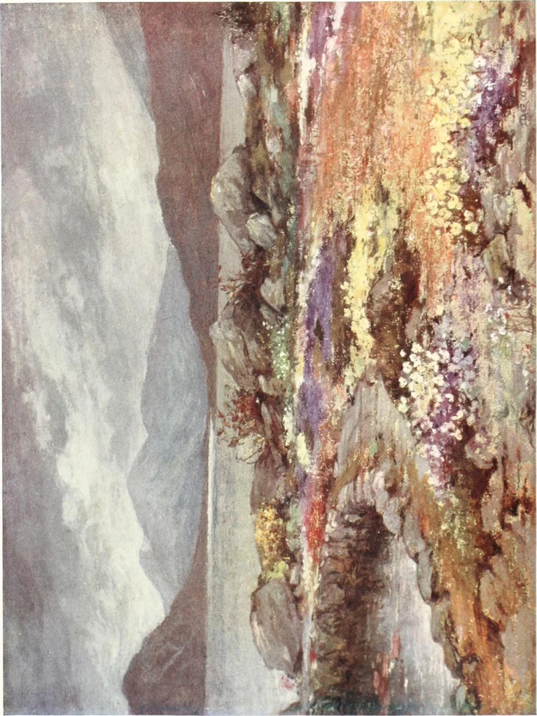 An illustration from Scottish gardens; being a representative selection of different types, old and new, 1908, leaf 142