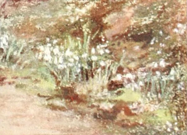 An illustration from Scottish gardens; being a representative selection of different types, old and new, 1908, leaf 42