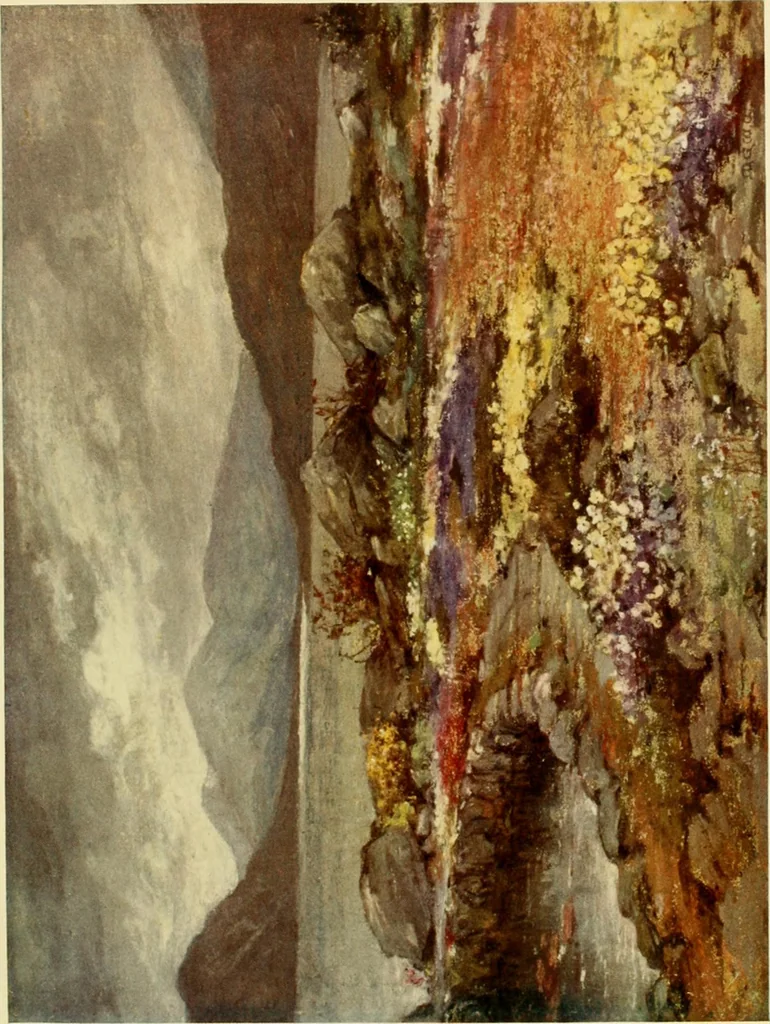 An illustration from Scottish gardens; being a representative selection of different types, old and new, 1908, leaf 142