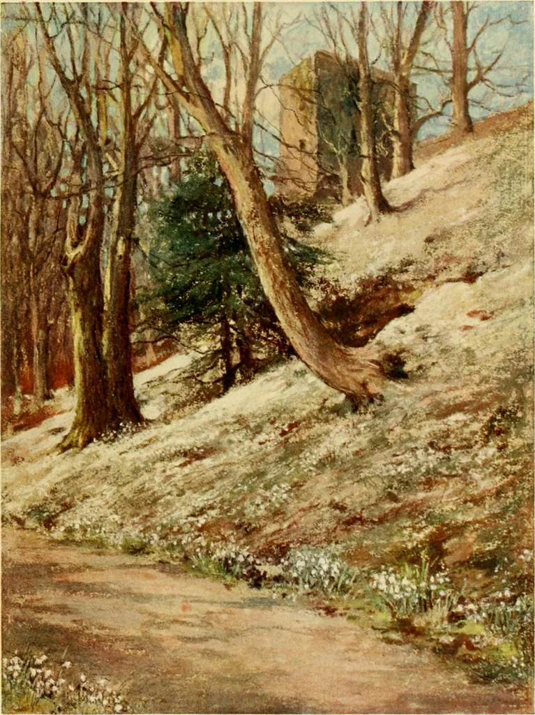 An illustration from Scottish gardens; being a representative selection of different types, old and new, 1908, leaf 42