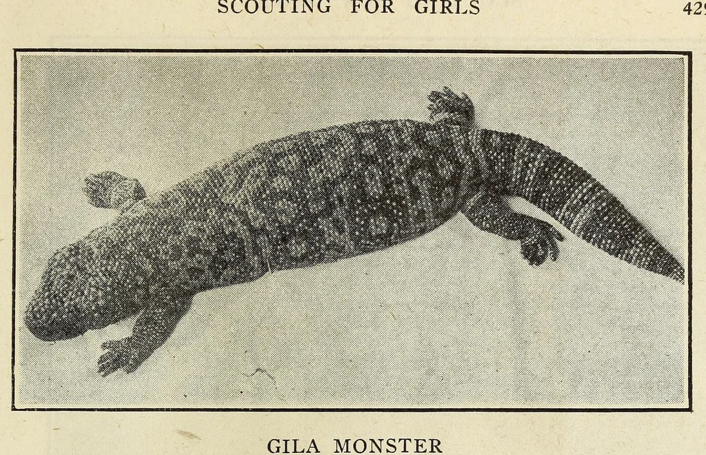 An illustration from Scouting for girls; official handbook of the Girl scouts, 1920, leaf 453