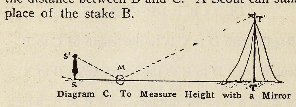 An illustration from Scouting for girls; official handbook of the Girl scouts, 1920, leaf 494