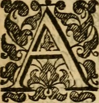 An illustration from A scribe, pharisee, hypocrite, and his letter answered, separates churched, dippers sprinkled : or, A vindication of the church and universities of England in many orthodox tenets & righteous practices .., 1657, leaf 24