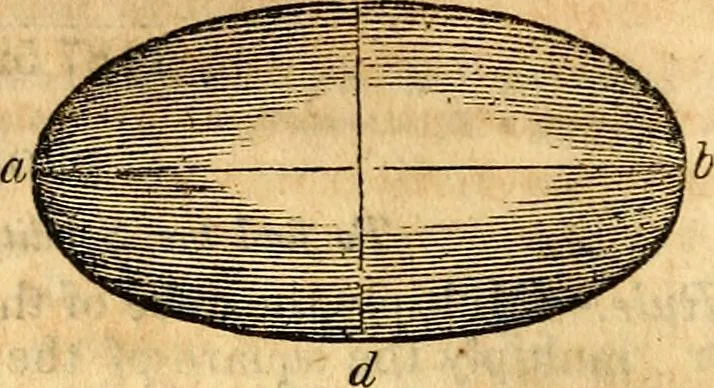 An illustration from Scribner's engineers' and mechanics' companion : comprising United States' weights and measures : mensuration of superficies and solids ... the mechanical powers ... steam and the steam engine, 1848, leaf 69