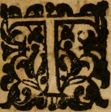 An illustration from Scripture manifestation of the equalitty of the Father, Sonne, and Holy-Ghost : wherein is above an hundred particulars by parralell places of Scripture, this truth is clearely confirmed .., 1650, leaf 8