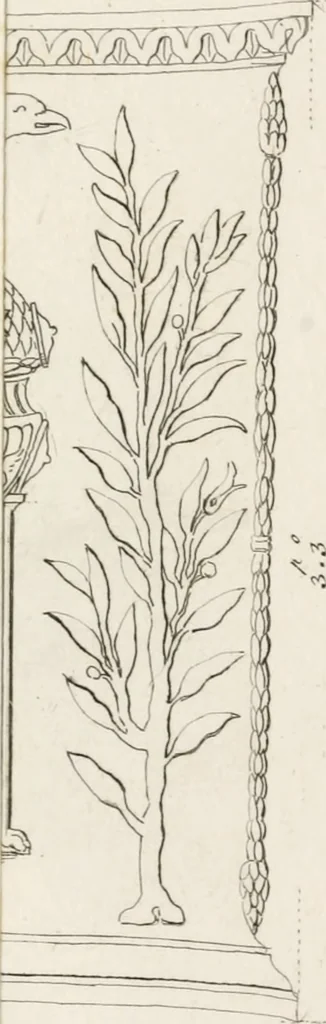 An illustration from Sculture del palazzo della Villa Borghese detta Pinciana, 1796, leaf 246