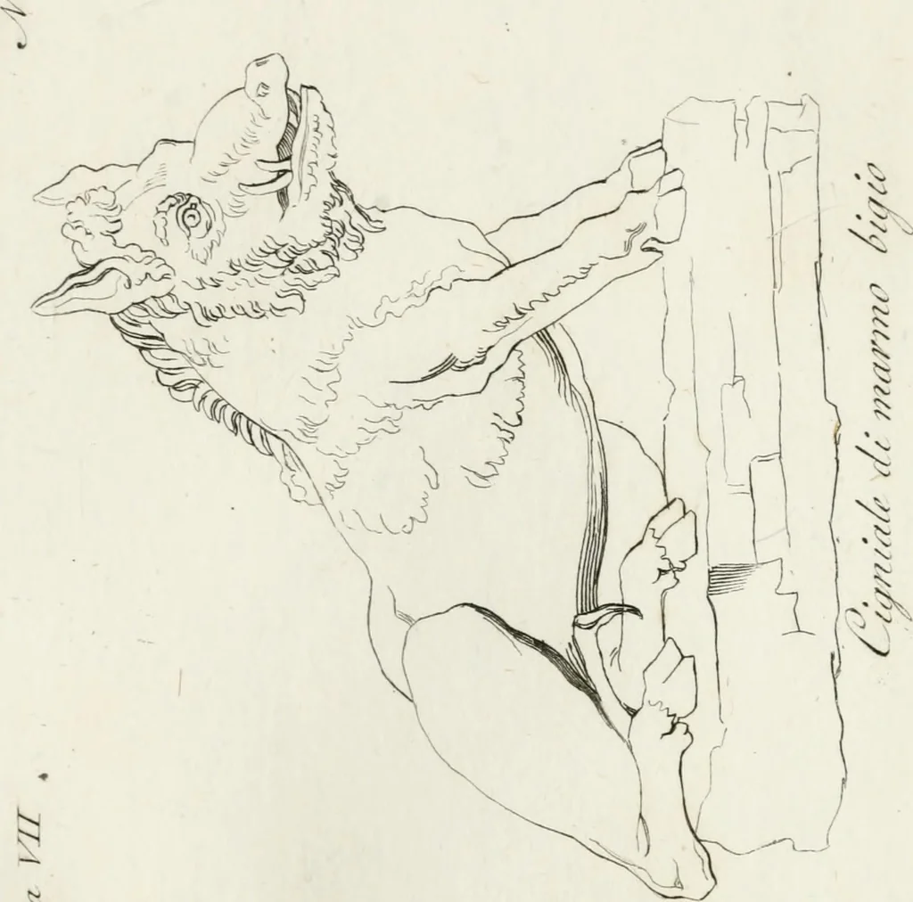 An illustration from Sculture del palazzo della Villa Borghese detta Pinciana, 1796, leaf 158