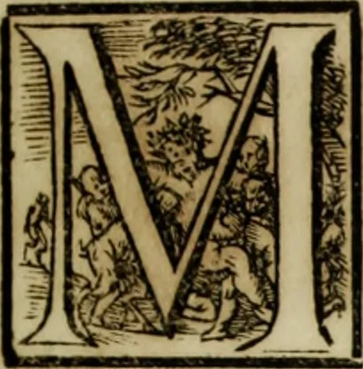 An illustration from Scvlptvræ veteris admiranda : sive, Delineatio vera perfectissimarvm eminentissimarvmqve statvarvm, unà cum artis hujus nobilissimæ theoria, serenissimo ac potentissimo principi ac domino, domino Carolo, comiti Palat. Rheni, S. Rom. imp. archith. & electori, Bavariæ duci, &c. &c., 1680, leaf 132
