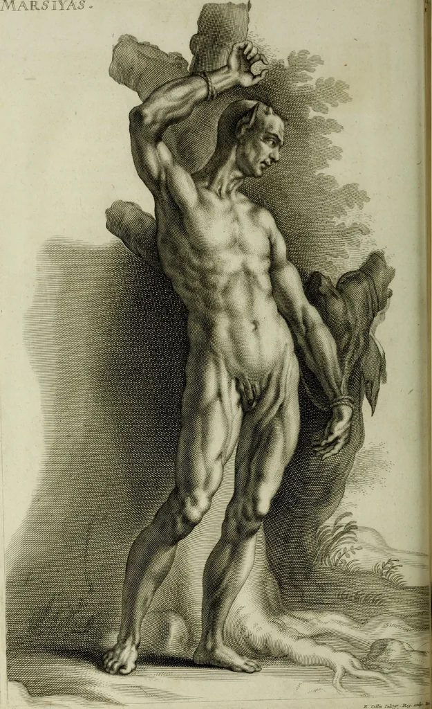 An illustration from Scvlptvræ veteris admiranda : sive, Delineatio vera perfectissimarvm eminentissimarvmqve statvarvm, unà cum artis hujus nobilissimæ theoria, serenissimo ac potentissimo principi ac domino, domino Carolo, comiti Palat. Rheni, S. Rom. imp. archith. & electori, Bavariæ duci, &c. &c., 1680, leaf 159