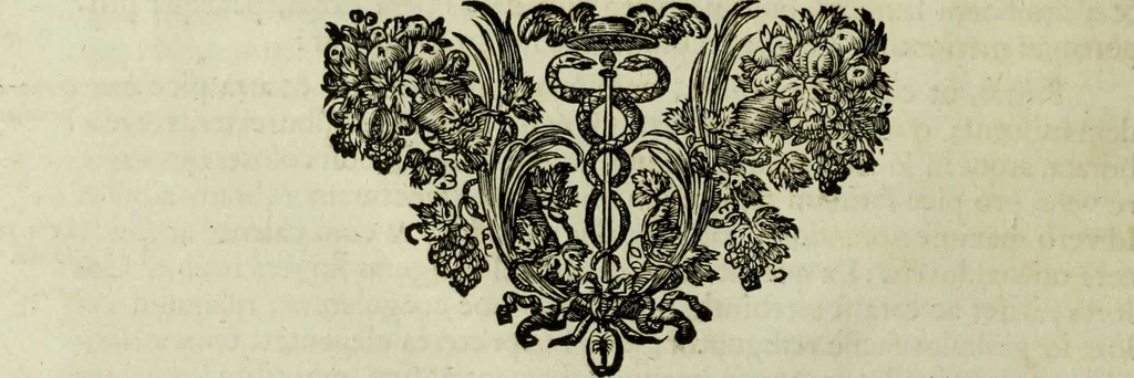 An illustration from Scvlptvræ veteris admiranda : sive, Delineatio vera perfectissimarvm eminentissimarvmqve statvarvm, unà cum artis hujus nobilissimæ theoria, serenissimo ac potentissimo principi ac domino, domino Carolo, comiti Palat. Rheni, S. Rom. imp. archith. & electori, Bavariæ duci, &c. &c., 1680, leaf 19