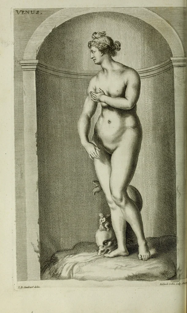 An illustration from Scvlptvræ veteris admiranda : sive, Delineatio vera perfectissimarvm eminentissimarvmqve statvarvm, unà cum artis hujus nobilissimæ theoria, serenissimo ac potentissimo principi ac domino, domino Carolo, comiti Palat. Rheni, S. Rom. imp. archith. & electori, Bavariæ duci, &c. &c., 1680, leaf 77