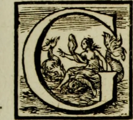 An illustration from Scvlptvræ veteris admiranda : sive, Delineatio vera perfectissimarvm eminentissimarvmqve statvarvm, unà cum artis hujus nobilissimæ theoria, serenissimo ac potentissimo principi ac domino, domino Carolo, comiti Palat. Rheni, S. Rom. imp. archith. & electori, Bavariæ duci, &c. &c., 1680, leaf 80