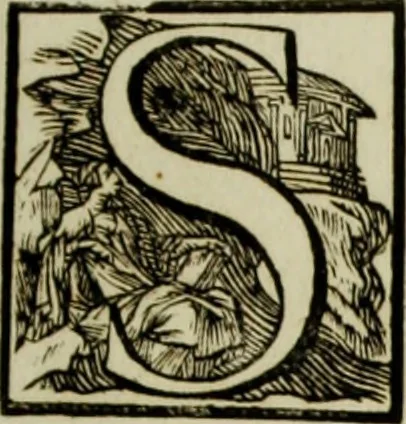 An illustration from Scvlptvræ veteris admiranda : sive, Delineatio vera perfectissimarvm eminentissimarvmqve statvarvm, unà cum artis hujus nobilissimæ theoria, serenissimo ac potentissimo principi ac domino, domino Carolo, comiti Palat. Rheni, S. Rom. imp. archith. & electori, Bavariæ duci, &c. &c., 1680, leaf 96