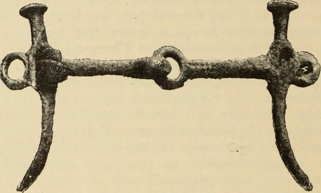 An illustration from Scythians and Greeks : a survey of ancient history and archaeology on the north coast of the Euxine from the Danube to the Caucasus, 1913, leaf 123