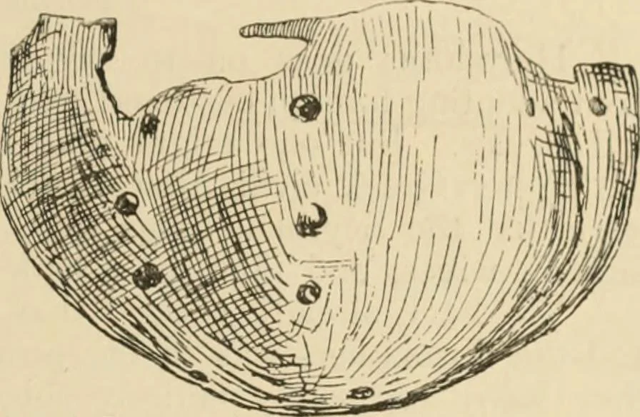 An illustration from Scythians and Greeks : a survey of ancient history and archaeology on the north coast of the Euxine from the Danube to the Caucasus, 1913, leaf 130