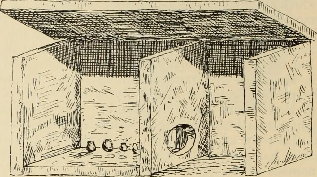 An illustration from Scythians and Greeks : a survey of ancient history and archaeology on the north coast of the Euxine from the Danube to the Caucasus, 1913, leaf 195