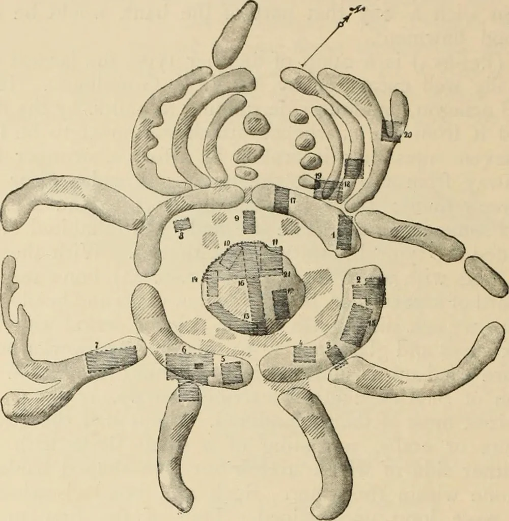 An illustration from Scythians and Greeks : a survey of ancient history and archaeology on the north coast of the Euxine from the Danube to the Caucasus, 1913, leaf 197