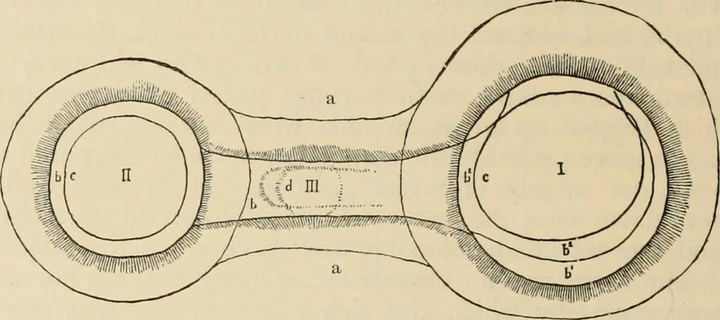 An illustration from Scythians and Greeks : a survey of ancient history and archaeology on the north coast of the Euxine from the Danube to the Caucasus, 1913, leaf 201