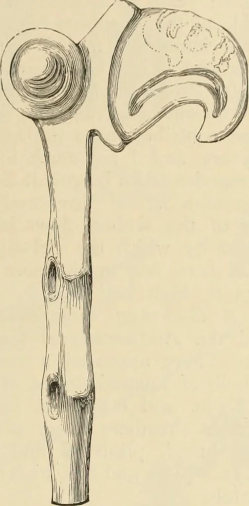 An illustration from Scythians and Greeks : a survey of ancient history and archaeology on the north coast of the Euxine from the Danube to the Caucasus, 1913, leaf 272