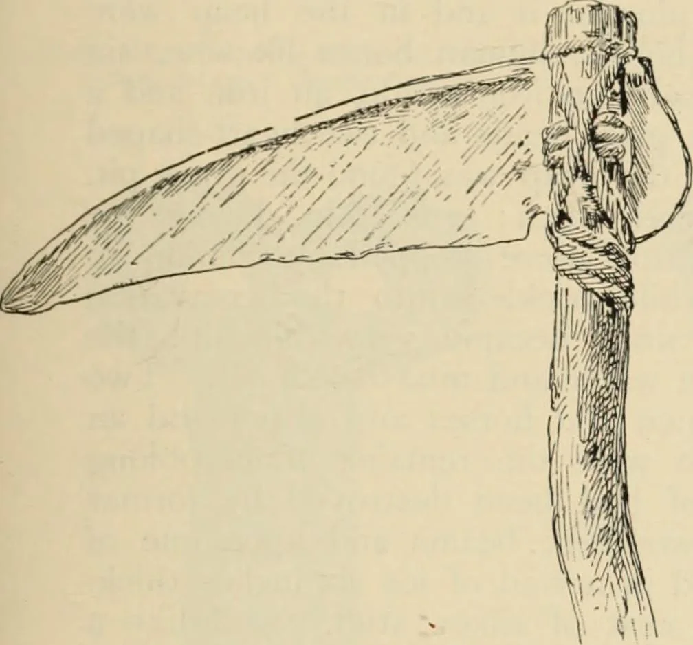 An illustration from Scythians and Greeks : a survey of ancient history and archaeology on the north coast of the Euxine from the Danube to the Caucasus, 1913, leaf 304