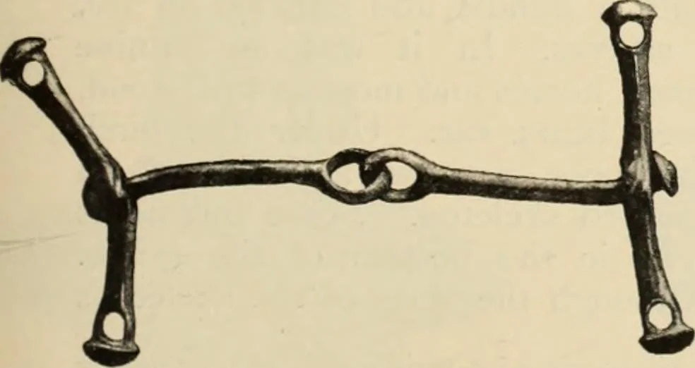 An illustration from Scythians and Greeks : a survey of ancient history and archaeology on the north coast of the Euxine from the Danube to the Caucasus, 1913, leaf 304