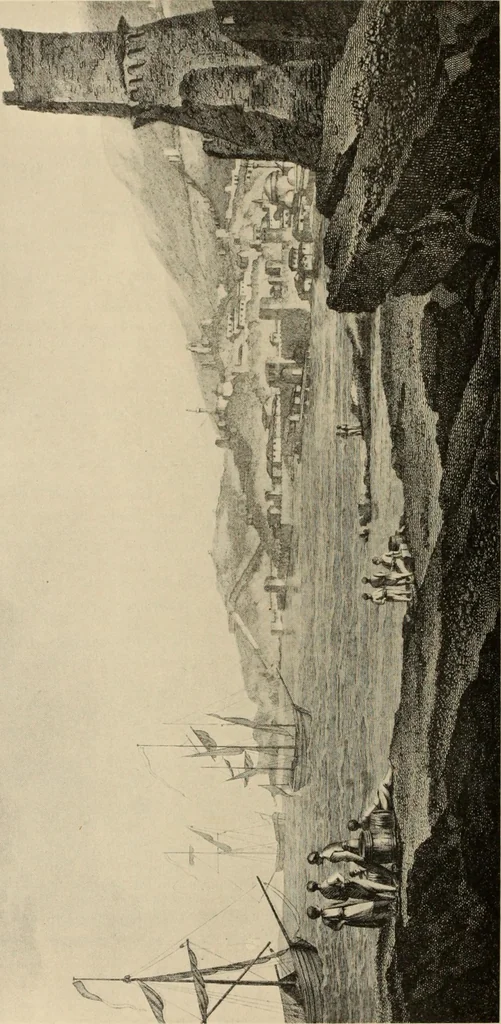 An illustration from Scythians and Greeks : a survey of ancient history and archaeology on the north coast of the Euxine from the Danube to the Caucasus, 1913, leaf 611