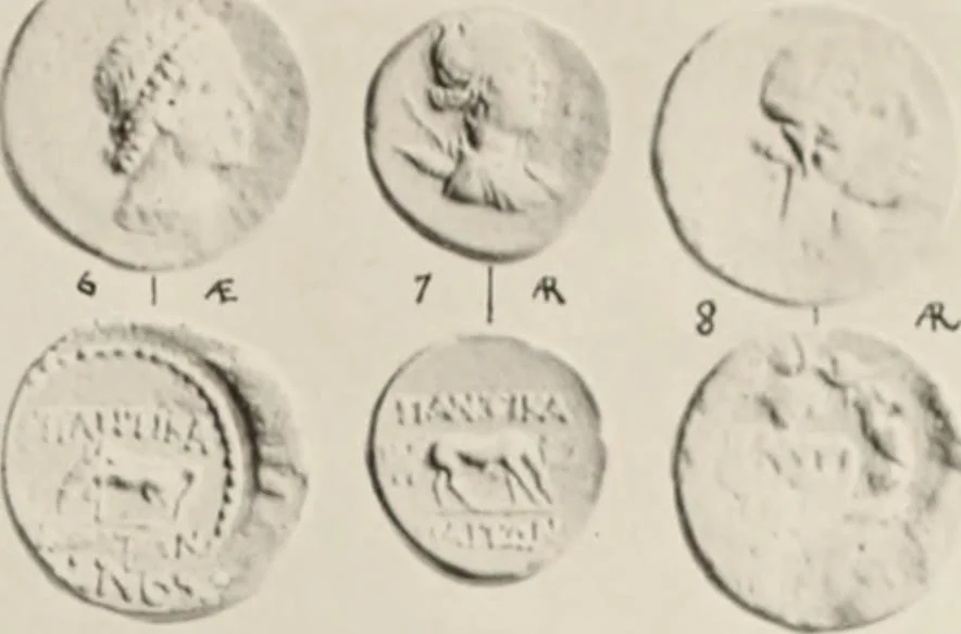 An illustration from Scythians and Greeks : a survey of ancient history and archaeology on the north coast of the Euxine from the Danube to the Caucasus, 1913, leaf 742