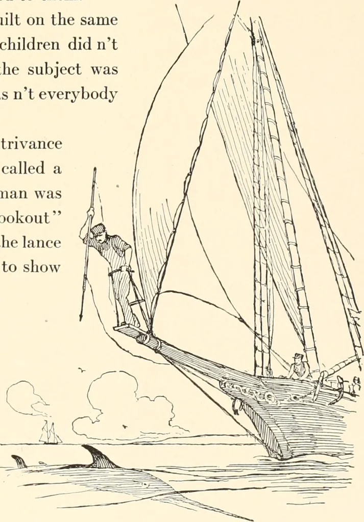 An illustration from The seashore book : Bob and Betty's summer with Captain Hawes, 1912, leaf 16