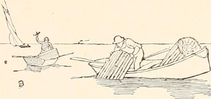 An illustration from The seashore book : Bob and Betty's summer with Captain Hawes, 1912, leaf 29