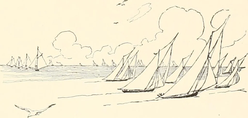 An illustration from The seashore book : Bob and Betty's summer with Captain Hawes, 1912, leaf 32