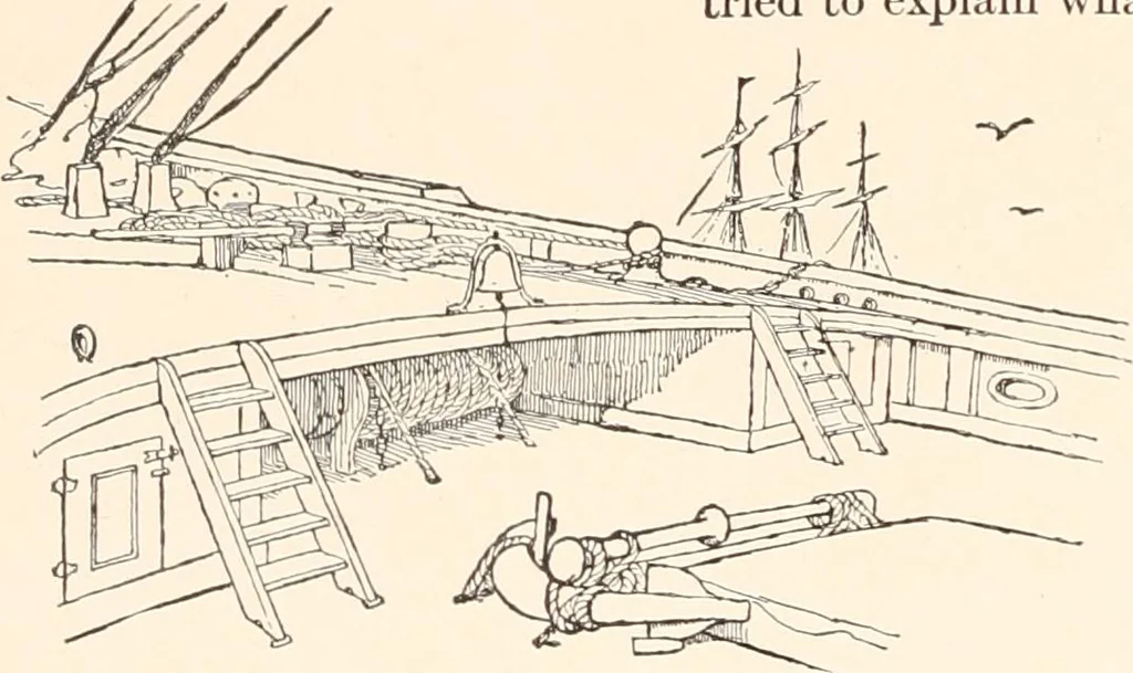 An illustration from The seashore book : Bob and Betty's summer with Captain Hawes, 1912, leaf 37