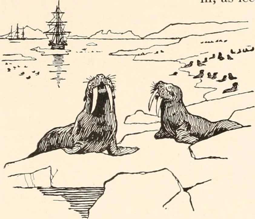 An illustration from The seashore book : Bob and Betty's summer with Captain Hawes, 1912, leaf 49