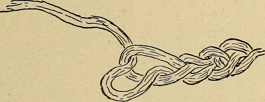An illustration from Seat work and industrial occupations; a practical course for primary grades, 1905, leaf 140