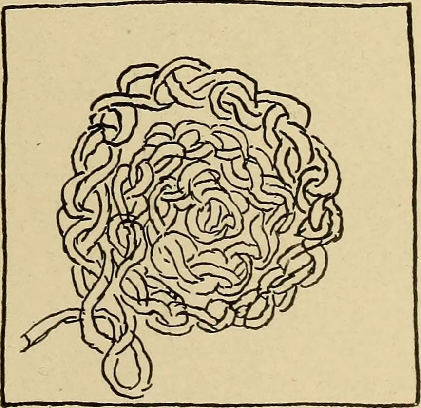 An illustration from Seat work and industrial occupations; a practical course for primary grades, 1905, leaf 140