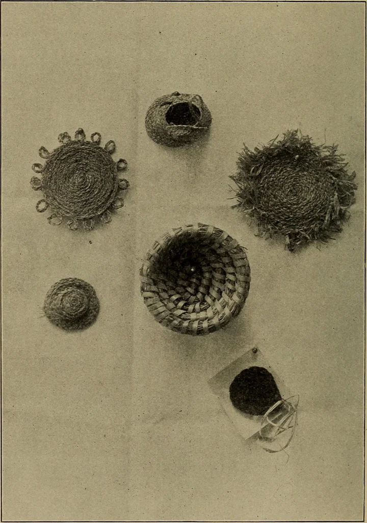 An illustration from Seat work and industrial occupations; a practical course for primary grades, 1905, leaf 141