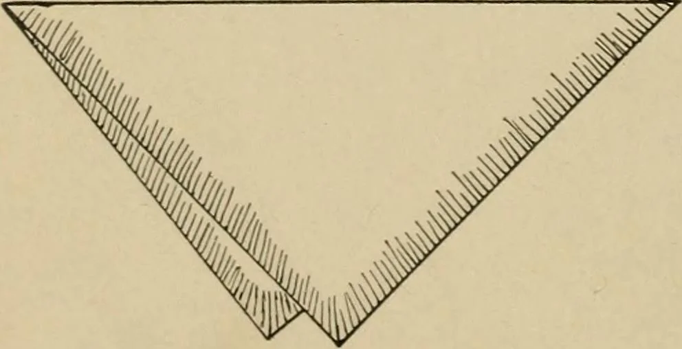 An illustration from Seat work and industrial occupations; a practical course for primary grades, 1905, leaf 25
