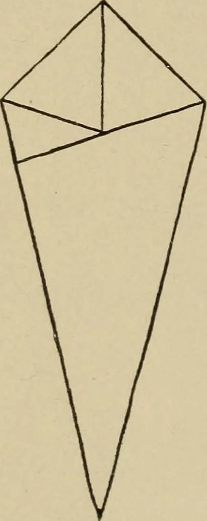 An illustration from Seat work and industrial occupations; a practical course for primary grades, 1905, leaf 37