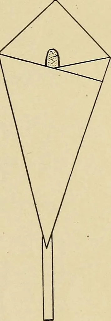 An illustration from Seat work and industrial occupations; a practical course for primary grades, 1905, leaf 66
