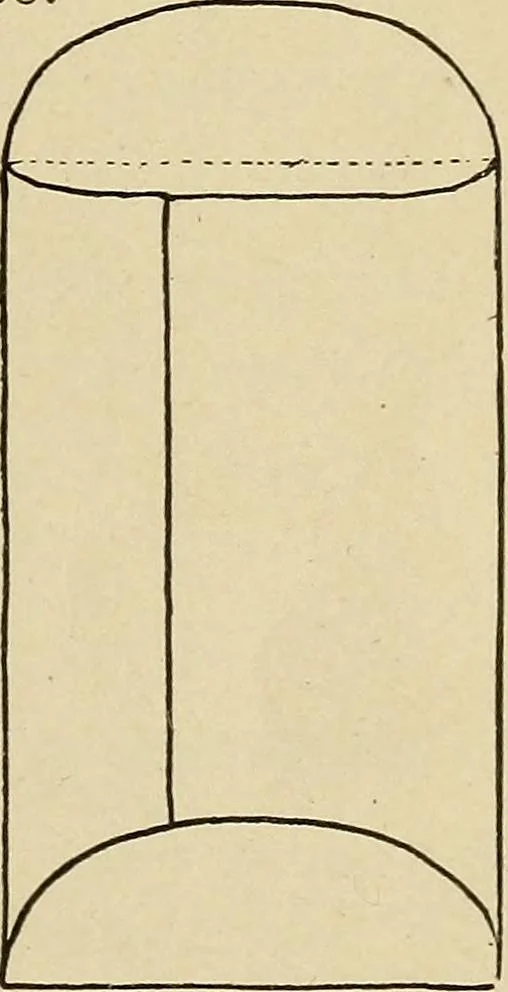 An illustration from Seat work and industrial occupations; a practical course for primary grades, 1905, leaf 70