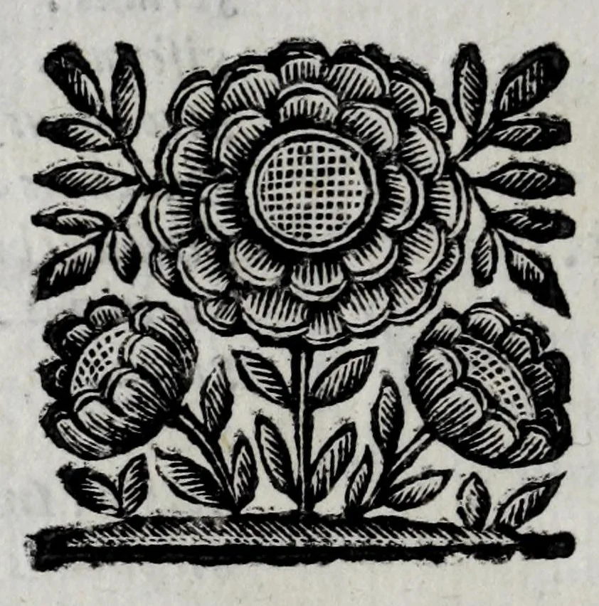 An illustration from Sebastiani Andreantonelli canonici Asculani et protonotarij apostolici, Historiae Asculanae libri IV : accessit historiae sacrae liber singularis : opus posthumum, 1673, leaf 20