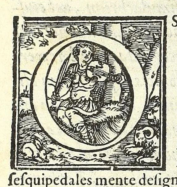 An illustration from Sebastiani Serlii Bononiensis De architectvra libri qvinqve ... : necnon extraordinarius quinquaginta portarum libellus in operis calce adiunctus hic demum conspicitur., 1569, leaf 424