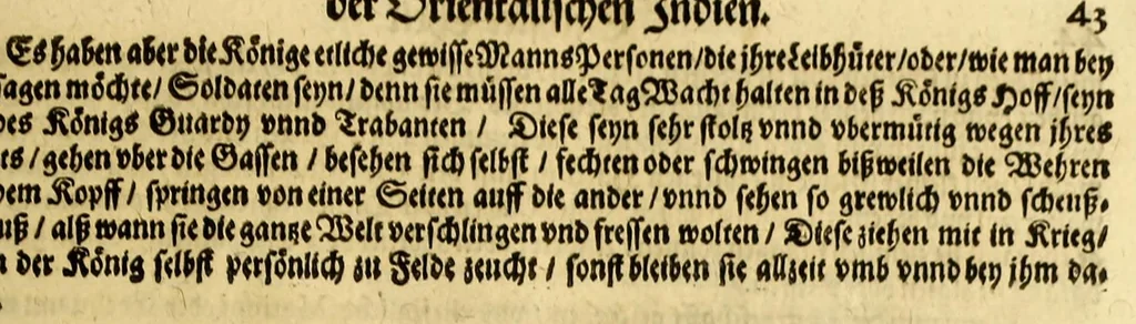 An illustration from Sechster Theil der Orientalischen Indien, Warhafftige historische Bechreibung dess gewaltigen Goldreichen Königreichs Guinea, sonst das Goltgestad von Mina genandt, so in Africa gelegen, : sampt derselben gantzen Beschaffenheit, auch Religion vnnd Opinion, Sitten vnnd Sprachen, Handel vnnd Wandel der Eynwohner daselbst: beneben einer kurtzen Erzelung, was die Schiffe, so dahin fahren wollen, für einen Lauff durch die Canarische Inseln, biss an das Cabo de Trespunctas, da das Goldgestadt sich anfänget, halten müssen., 1630, leaf 49