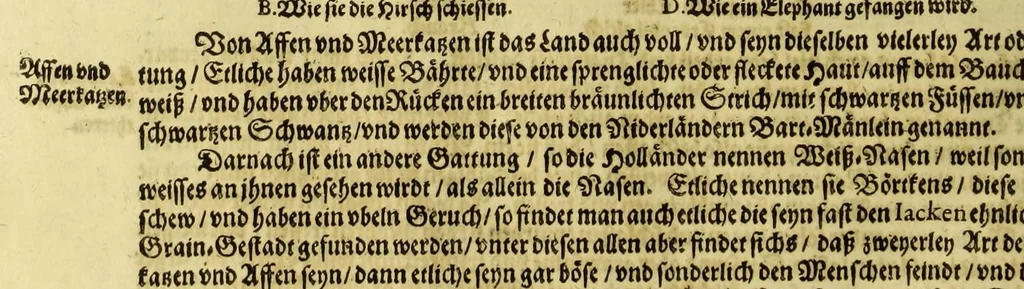 An illustration from Sechster Theil der Orientalischen Indien, Warhafftige historische Bechreibung dess gewaltigen Goldreichen Königreichs Guinea, sonst das Goltgestad von Mina genandt, so in Africa gelegen, : sampt derselben gantzen Beschaffenheit, auch Religion vnnd Opinion, Sitten vnnd Sprachen, Handel vnnd Wandel der Eynwohner daselbst: beneben einer kurtzen Erzelung, was die Schiffe, so dahin fahren wollen, für einen Lauff durch die Canarische Inseln, biss an das Cabo de Trespunctas, da das Goldgestadt sich anfänget, halten müssen., 1630, leaf 72